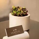 Morfeas