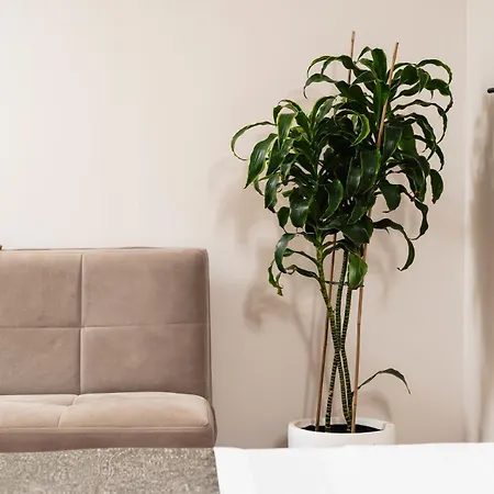 Morfeas 2* Chania (Crete)